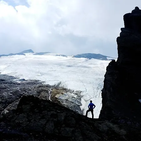 Διαμέρισμα Alps