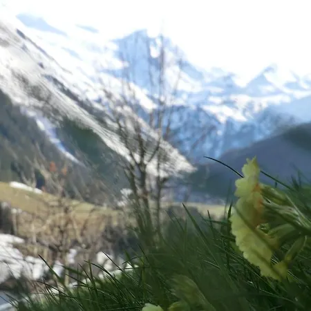 Apartament Alps *