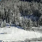 Apartment Alps *