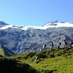 Alps Apartment