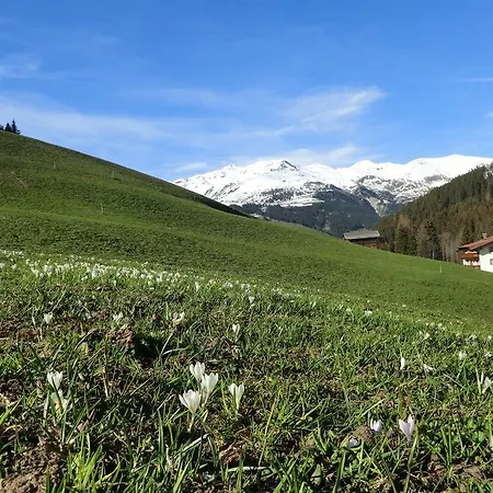 Appartamento Alps